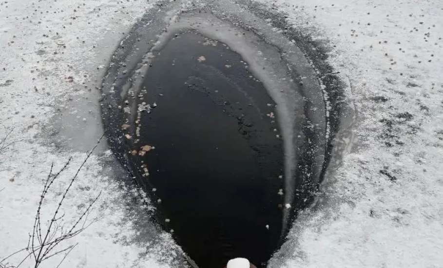 Зачем в Петровском парке в пруду делают лунки и закладывают в них солому?