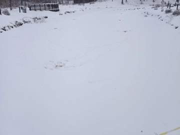 Зачем в Петровском парке в пруду делают лунки и закладывают в них солому?