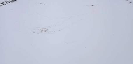 Зачем в Петровском парке в пруду делают лунки и закладывают в них солому?