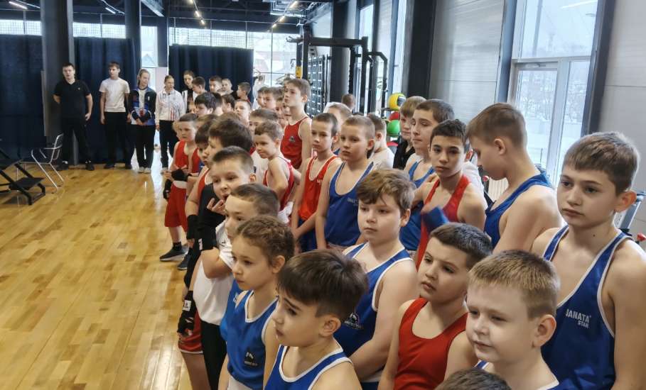 В зале единоборств Дворец спорта имени Александра Петрова стартует открытый ринг по боксу