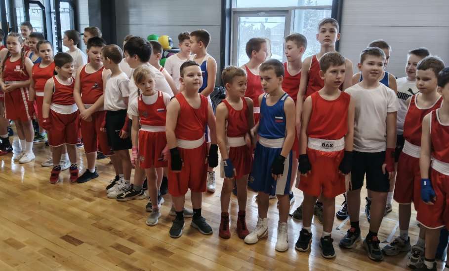 В зале единоборств Дворец спорта имени Александра Петрова стартует открытый ринг по боксу