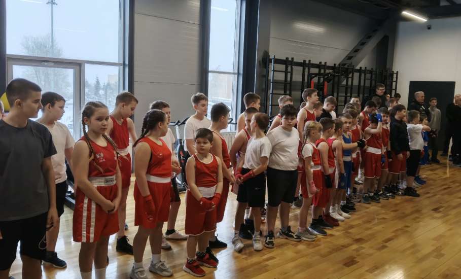 В зале единоборств Дворец спорта имени Александра Петрова стартует открытый ринг по боксу