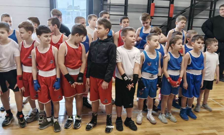 В зале единоборств Дворец спорта имени Александра Петрова стартует открытый ринг по боксу