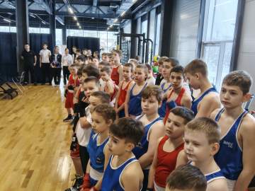 В зале единоборств Дворец спорта имени Александра Петрова стартует открытый ринг по боксу