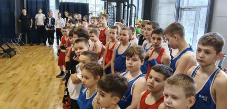 В зале единоборств Дворец спорта имени Александра Петрова стартует открытый ринг по боксу