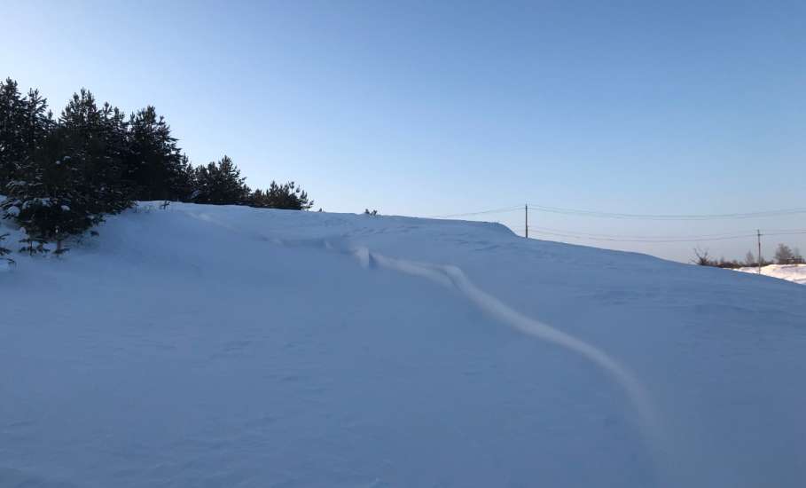 Лыжная прогулка в воскресный первый день февраля