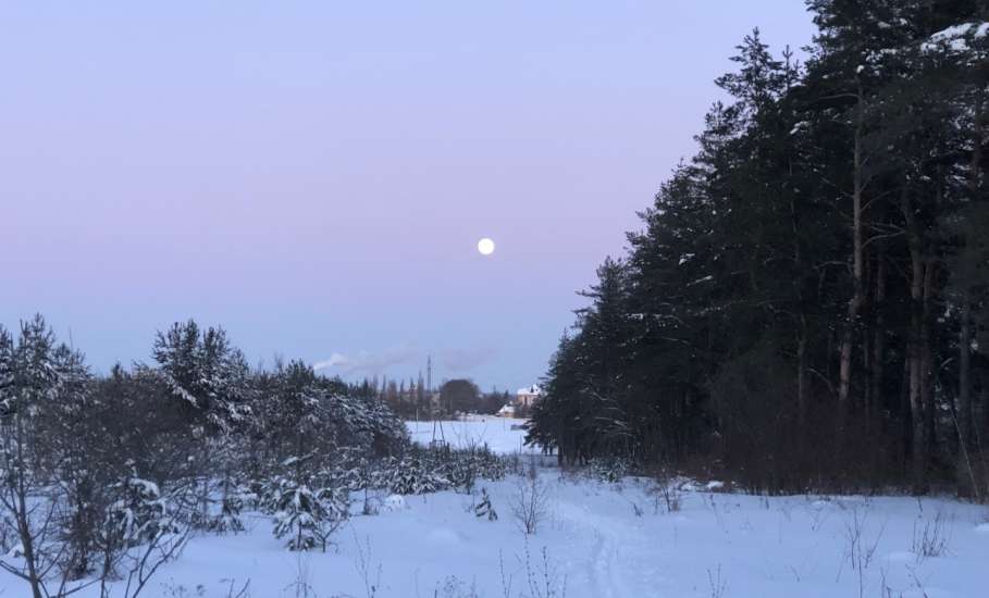 Лыжная прогулка в воскресный первый день февраля