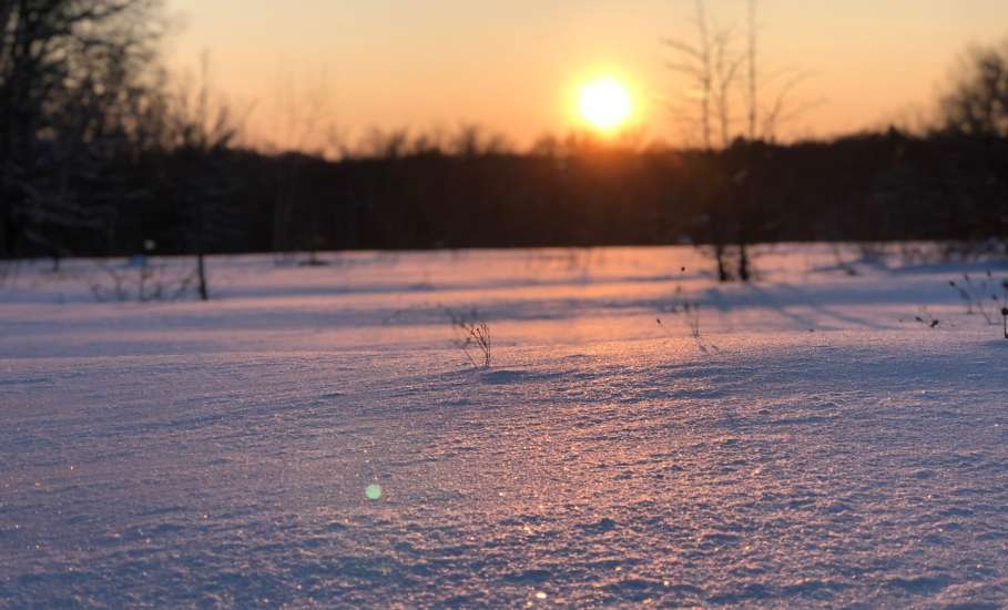 Лыжная прогулка в воскресный первый день февраля
