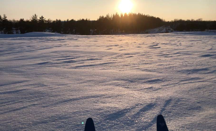 Лыжная прогулка в воскресный первый день февраля