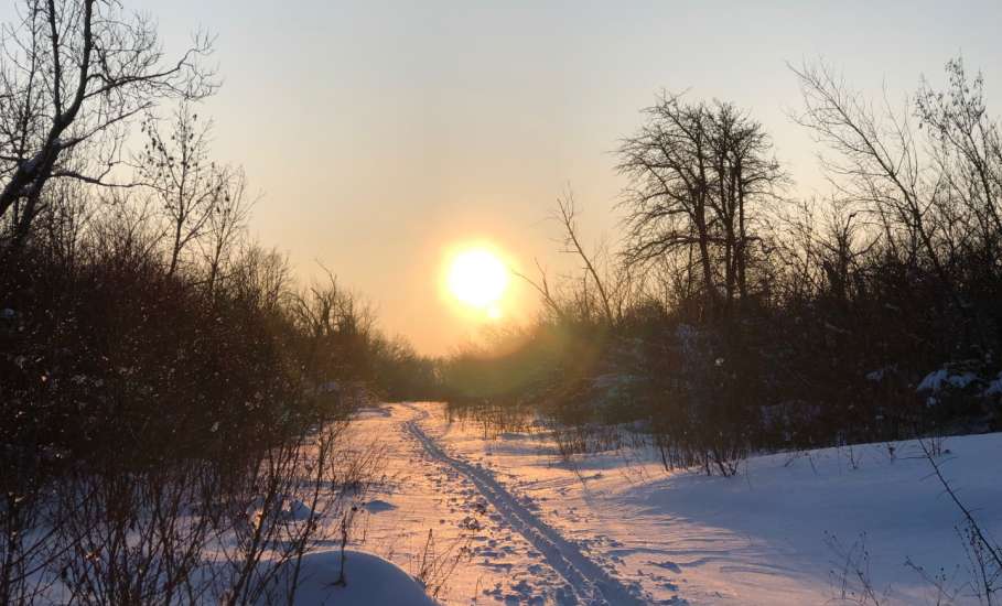 Лыжная прогулка в воскресный первый день февраля