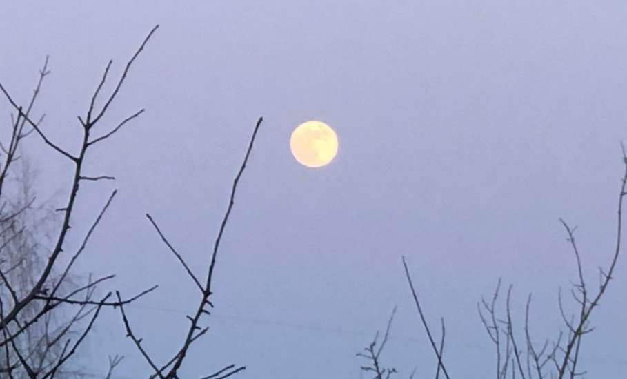 Лыжная прогулка в воскресный первый день февраля