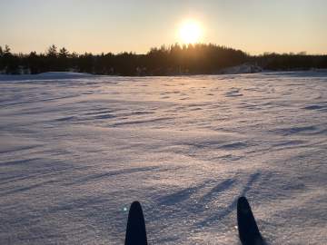 Лыжная прогулка в воскресный первый день февраля