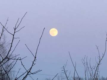 Лыжная прогулка в воскресный первый день февраля