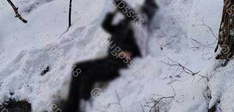 В Липецкой области спасатели обнаружили труп во льду на реке Дон!