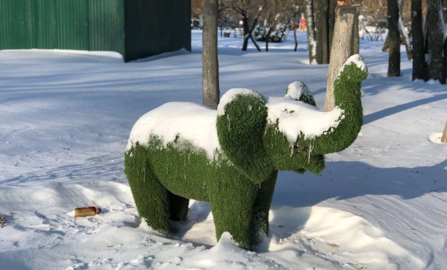 Внимание! В ближайшие сутки в Ельце мороз до -33 градусов!