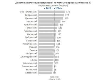 По итогам 2025 года субъекты малого и среднего бизнеса Липецкой области перечислили в бюджет 24,2 млрд рублей налогов