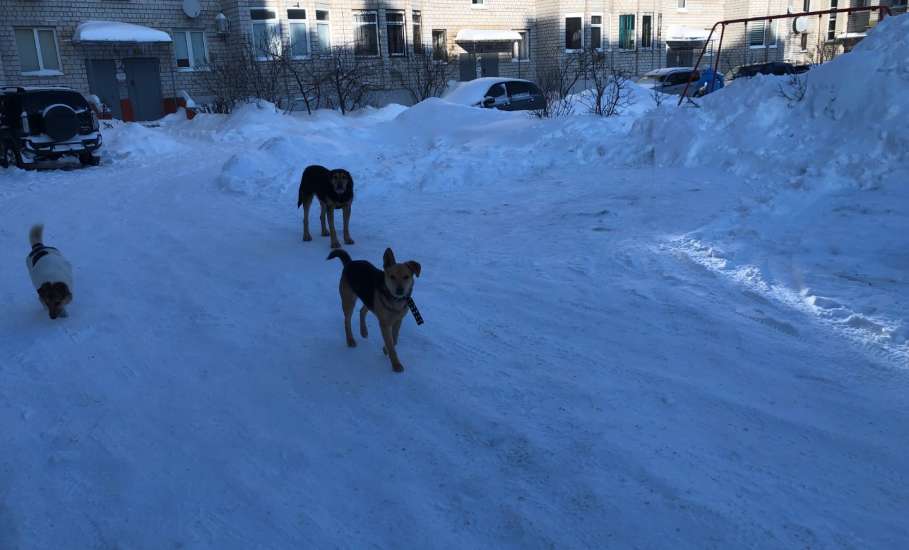 В Липецке заместитель начальника городского управления смотрителя подозревается в получении взяток от индивидуального предпринимателя