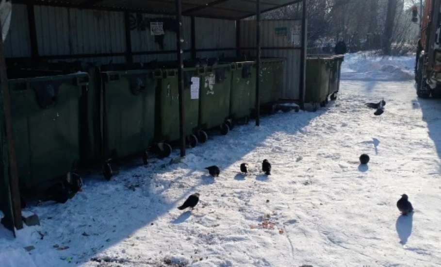 Отходы с некоторых контейнерных площадок вывезены в Ельце