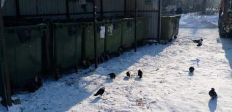 Отходы с некоторых контейнерных площадок вывезены в Ельце