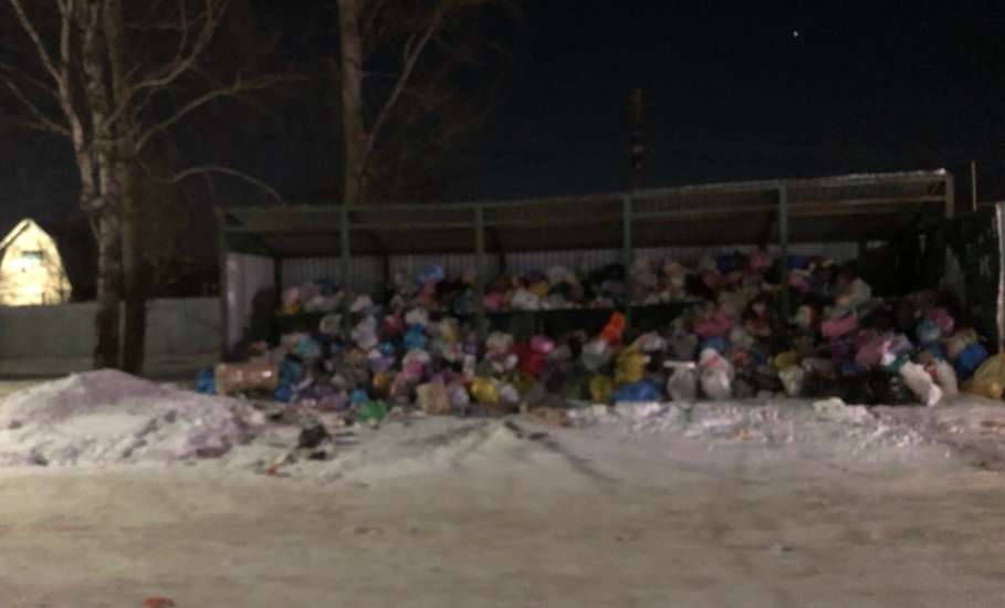 Горы мусора в Ельце в 7-ом микрорайоне!