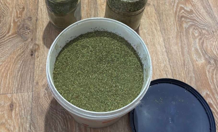 В Ельце местный житель подозревается в незаконном хранении марихуаны!