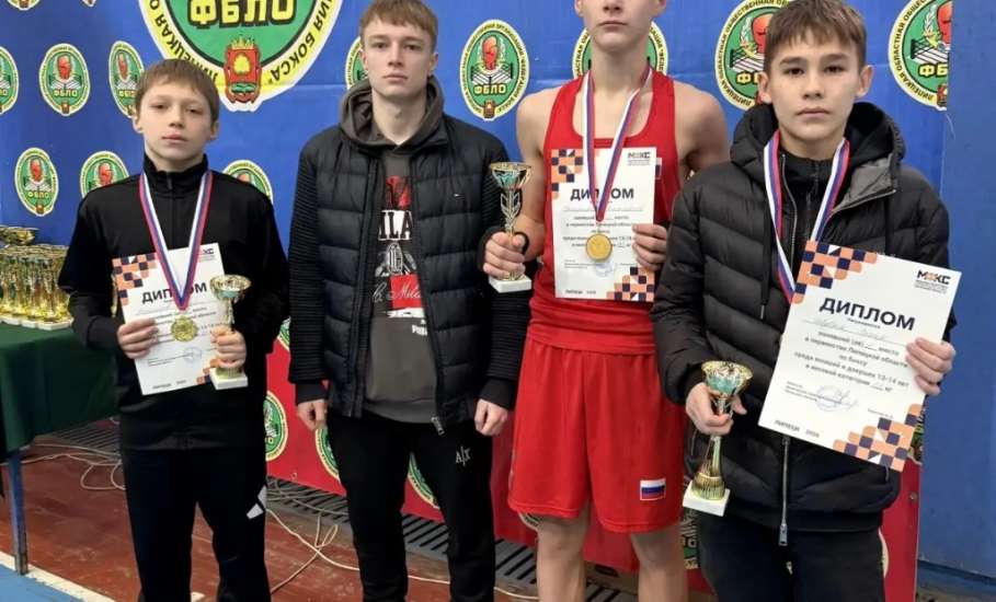 Чемпионат и первенство Липецкой области по боксу прошло в Липецке. Ельчане не подвели