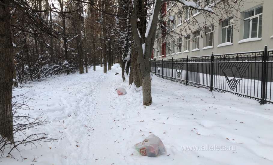 У лицея №5 в Ельце хам привык оставлять мусорные пакеты вдоль тропинки, чувствуя безнаказанность!