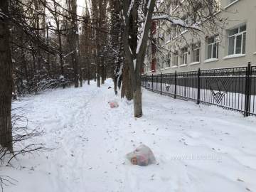 У лицея №5 в Ельце хам привык оставлять мусорные пакеты вдоль тропинки, чувствуя безнаказанность!