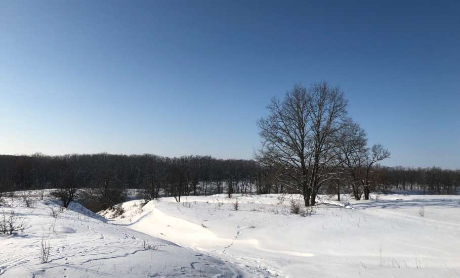 Прокурор Елецкого района добился выплаты в размере 25 % за работу в сельской местности работнику предприятия