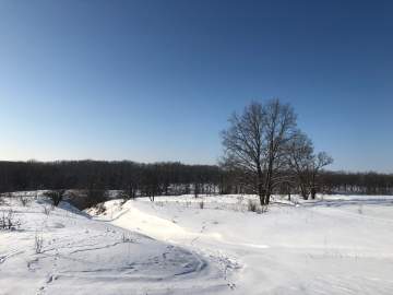 Прокурор Елецкого района добился выплаты в размере 25 % за работу в сельской местности работнику предприятия