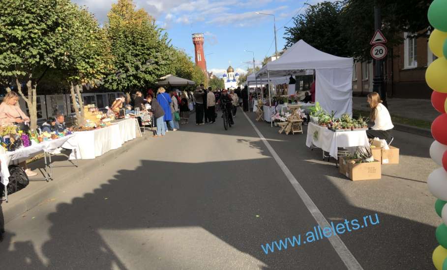 Могут стать лучшими в России по туризму Елецкий округ и Задонск