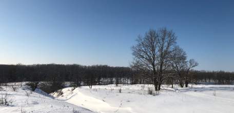 Москвичей вывозили в Липецкую область и убивали!