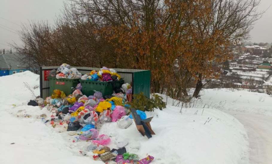 Да сколько можно?????!!!! Долго будет продолжаться беспредел в Ельце с несвоевременным вывозом мусора?