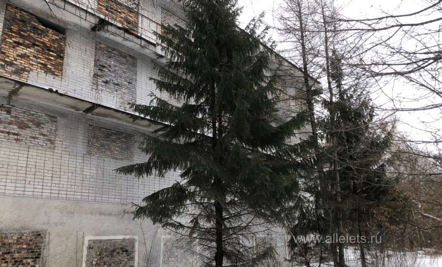 Санаторий-профилакторий &laquo;Сосна&raquo; в Ельце стоит заброшенный, заколоченный, на берегу Сосны