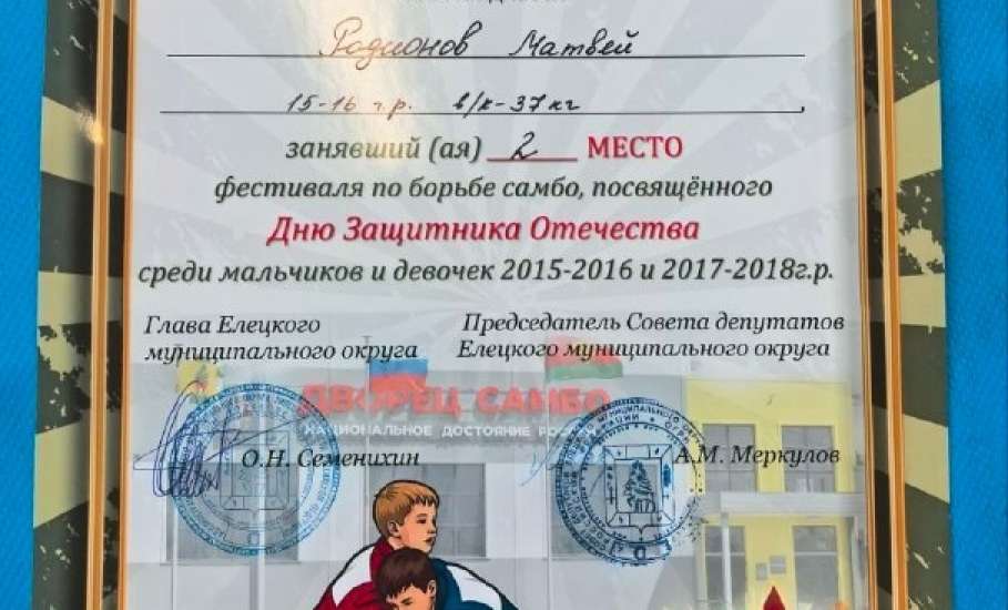 В Елецком районе прошёл фестиваль по самбо