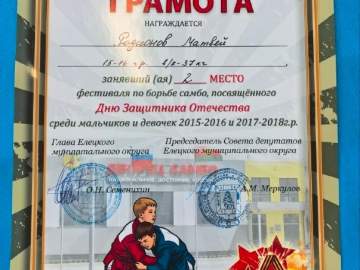 В Елецком районе прошёл фестиваль по самбо