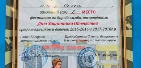 В Елецком районе прошёл фестиваль по самбо