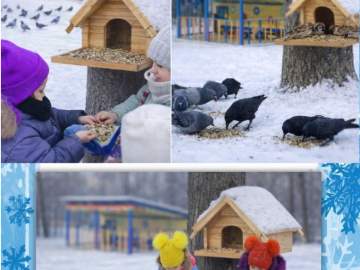 Подведены итоги конкурса фотографий &laquo;Пернатые гости кормушек&raquo;, который проходил в Ельце