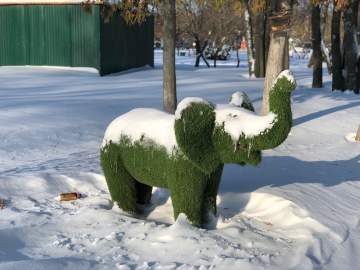 Telegram полностью заблокируют в России с 1 апреля!