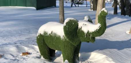 Telegram полностью заблокируют в России с 1 апреля!