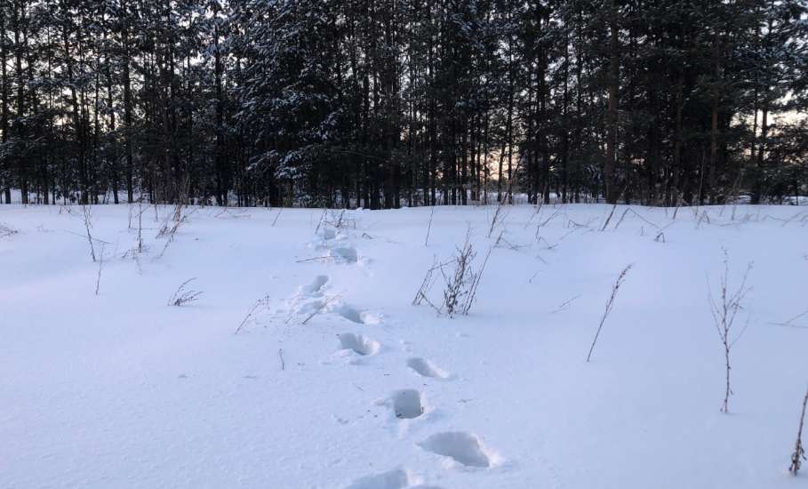 Наркоманы снова ходят за закладками в Ельце и Елецком районе!