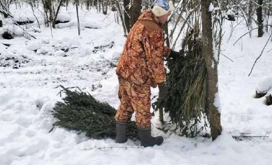 Служба доставки крапивных веников и зерна есть в Липецкой области