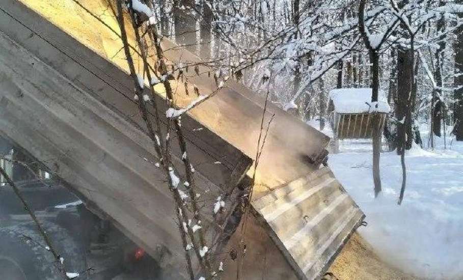 Служба доставки крапивных веников и зерна есть в Липецкой области