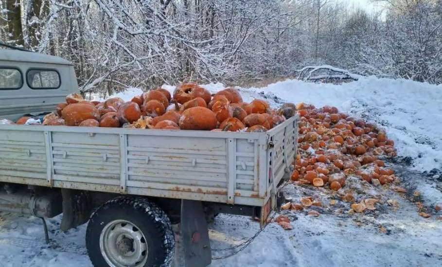 Служба доставки крапивных веников и зерна есть в Липецкой области