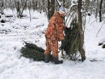 Служба доставки крапивных веников и зерна есть в Липецкой области