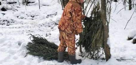 Служба доставки крапивных веников и зерна есть в Липецкой области