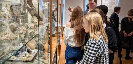 В музее Ельца состоялось торжественное открытие экспозиции &laquo;История Елецкого края с древнейших времен до конца XIX в.&raquo;