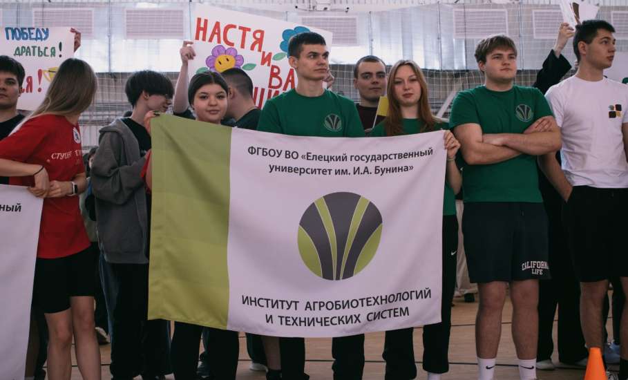 В Ельце прошли &laquo;НеБогатырские игры&raquo;