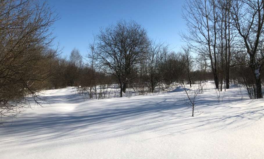 Фотогалерея зимней природы в пригороде Ельца