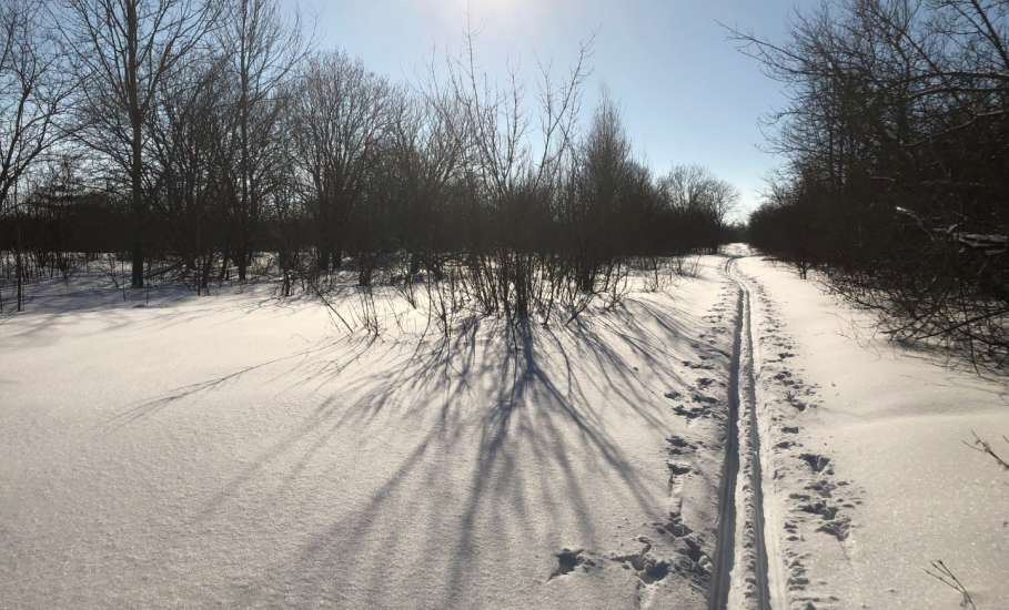 Фотогалерея зимней природы в пригороде Ельца